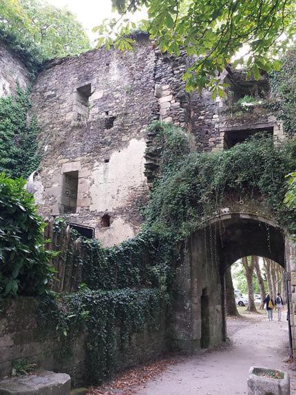 Le Moulin De Gueuzon Appartement Rochefort-en-Terre Buitenkant foto